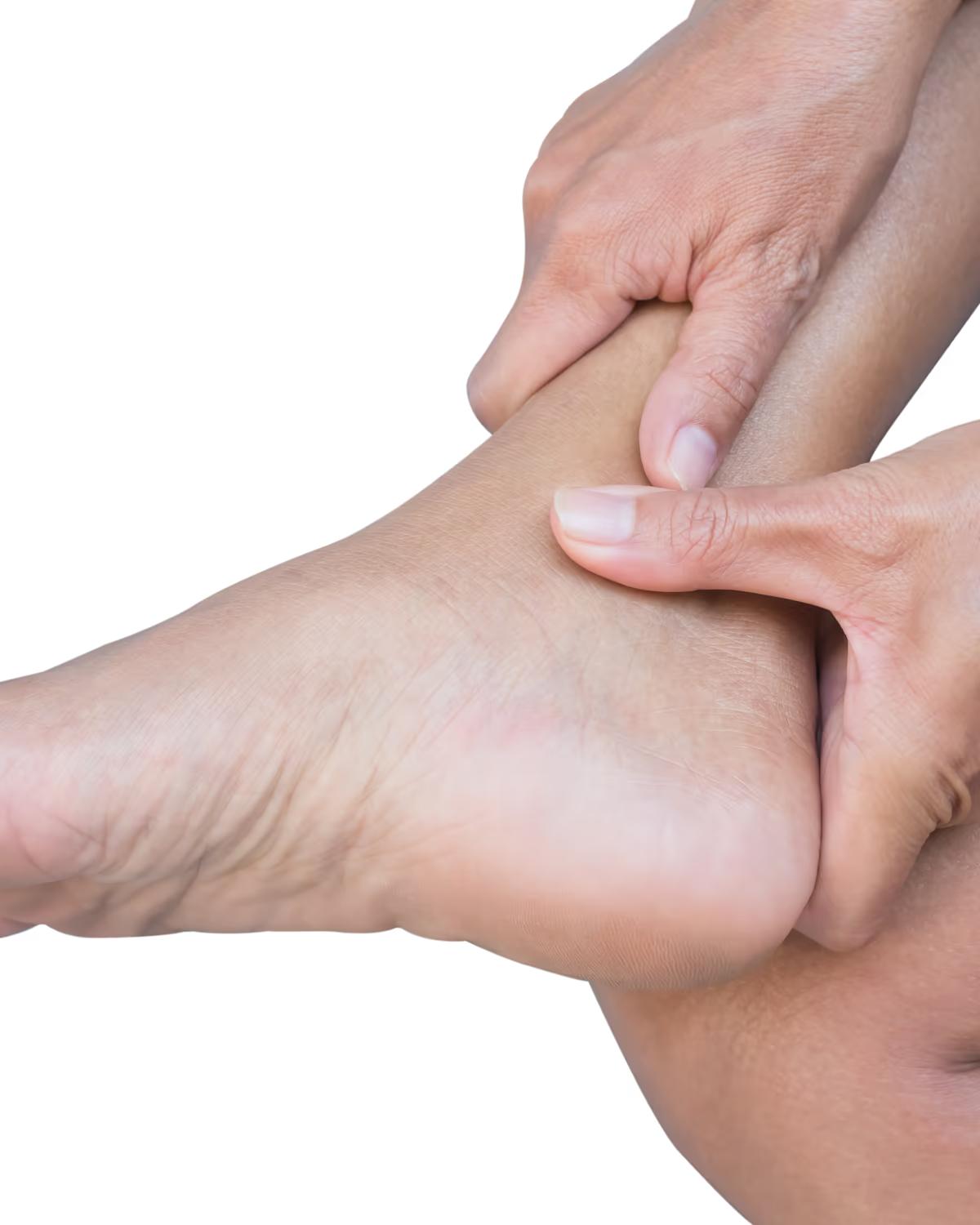 Tibialis Posterior Tendinopathy — The Foot Lab podiatry clinic, Glossop, North West
